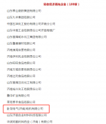 臥龍電驅(qū)濟(jì)南工廠榮獲濟(jì)南市實(shí)體經(jīng)濟(jì)領(lǐng)先企業(yè)