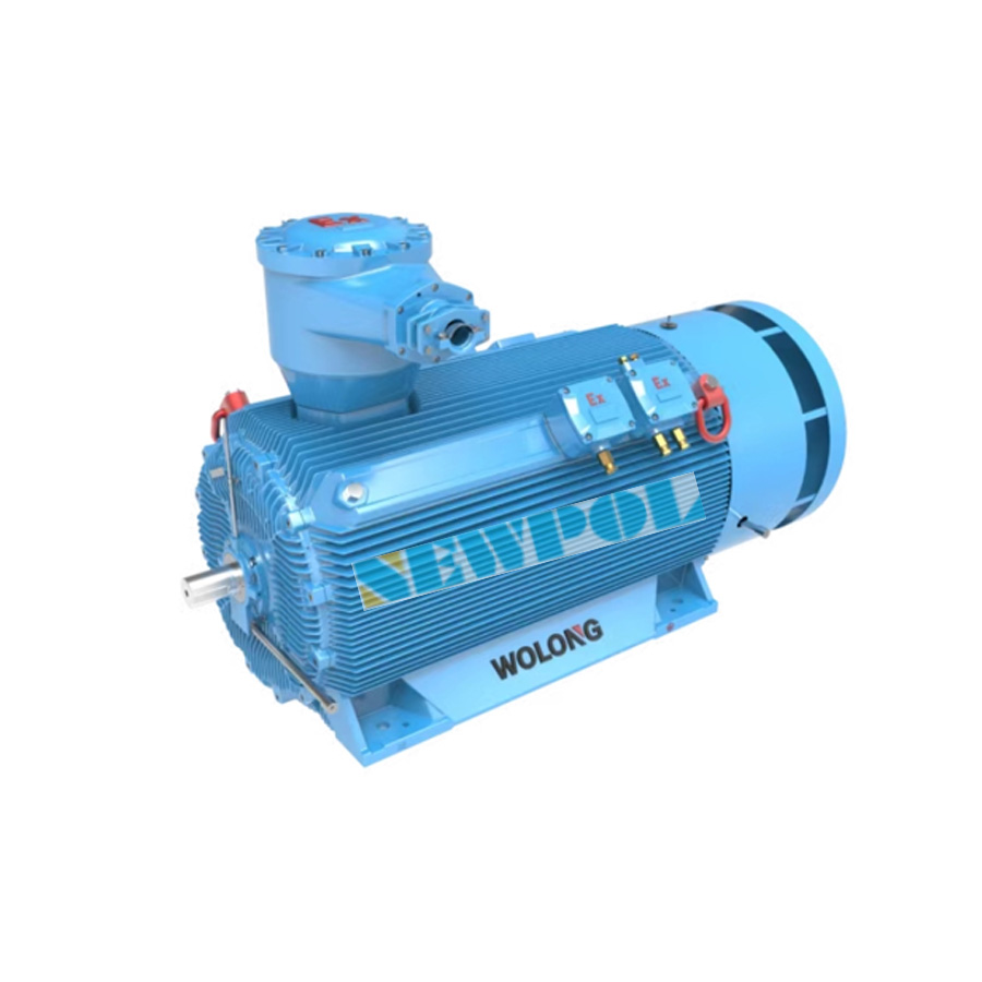 高效變革：低壓大功率變頻調(diào)速永磁同步電動機的創(chuàng)新之舉